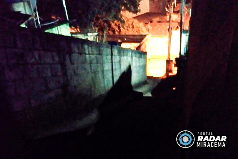 Falta de iluminação no Paraíso do Tobias coloca em risco idosos e crianças